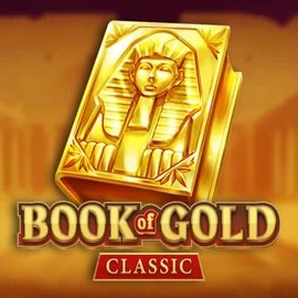 game logo by Playson on casinok.pl