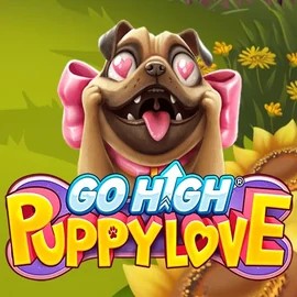 Go High Puppy Love – slot by RubyPlay, featured at casinok.pl
